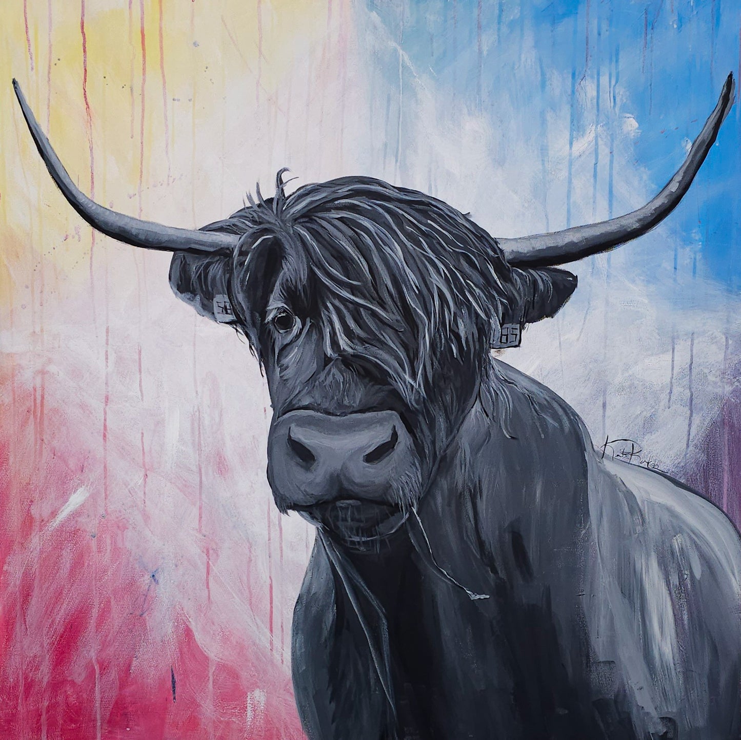 "Sir Loin" 36"x36" Original Highland Cow Acrylic Painting