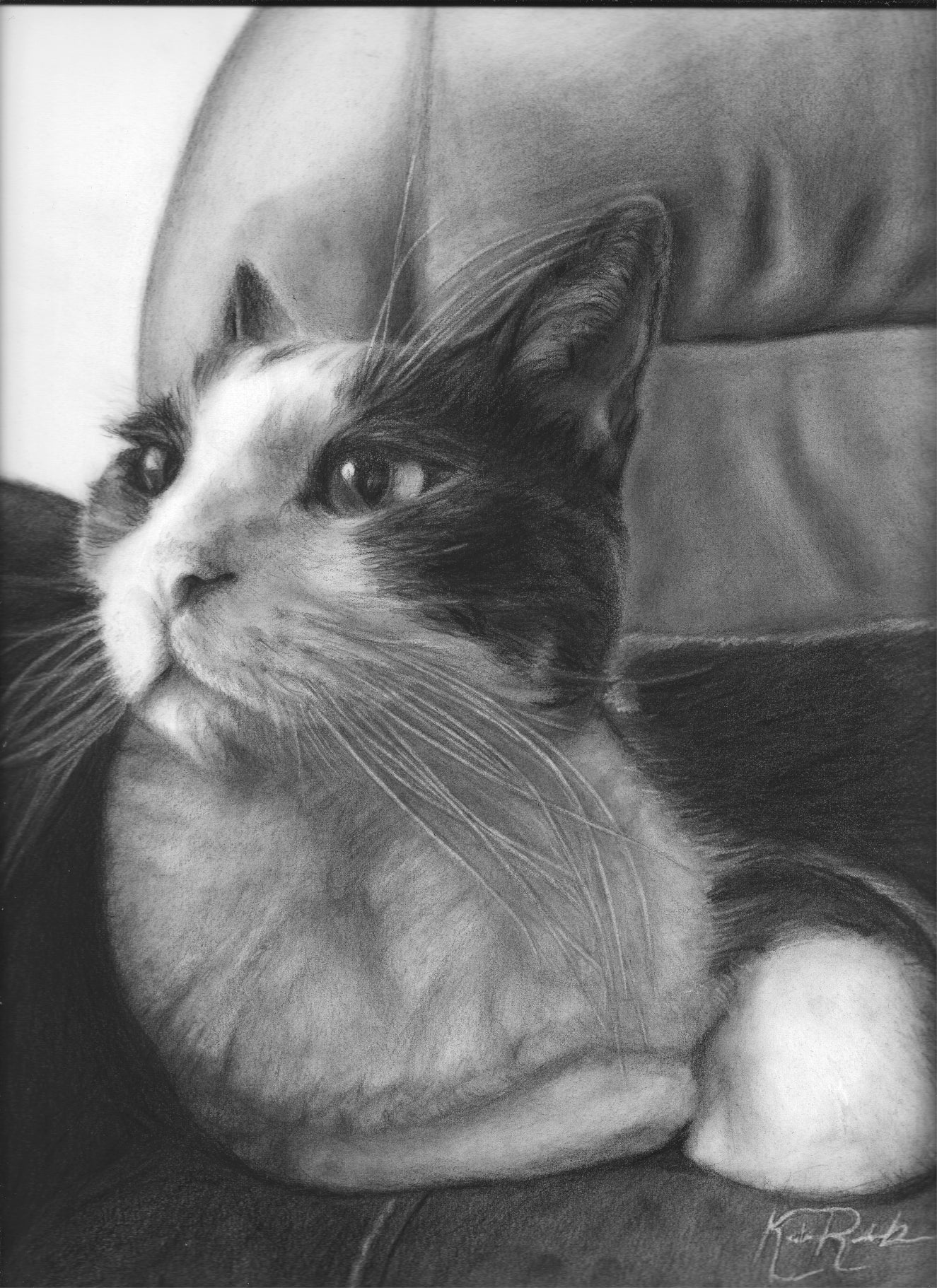 "Pondering" Limited Edition Prints