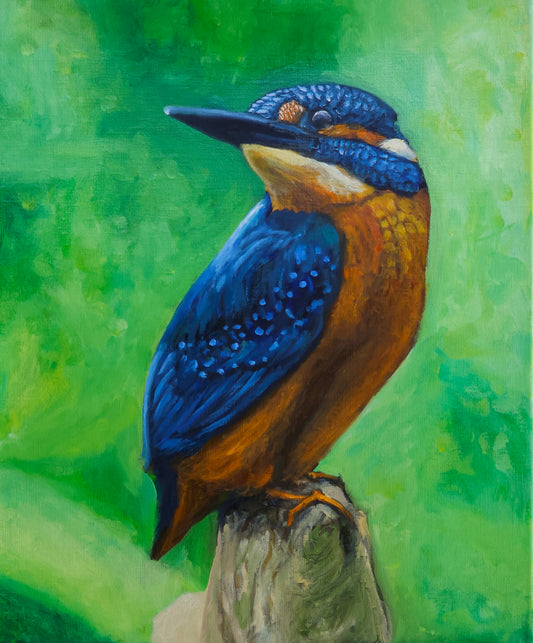 "Kingfisher" 16"x20" Original Oil Painting on Linen