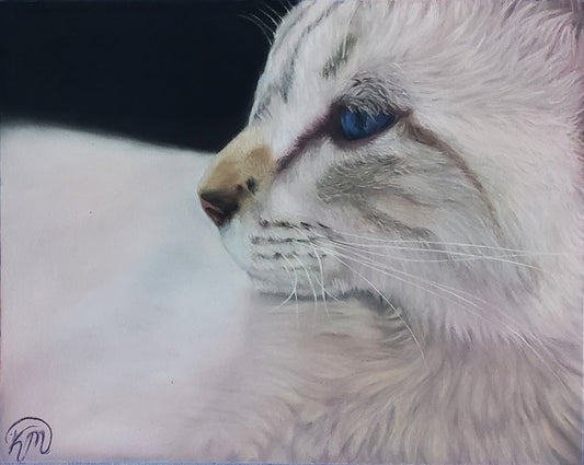 "Kitten Dreams" Original Pastel Painting