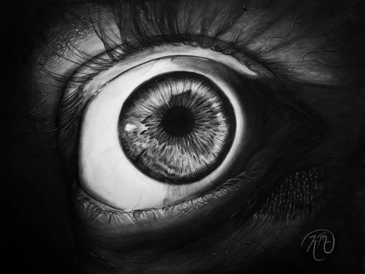 "Eye of the Beholder" Original Charcoal and Pastel Drawing